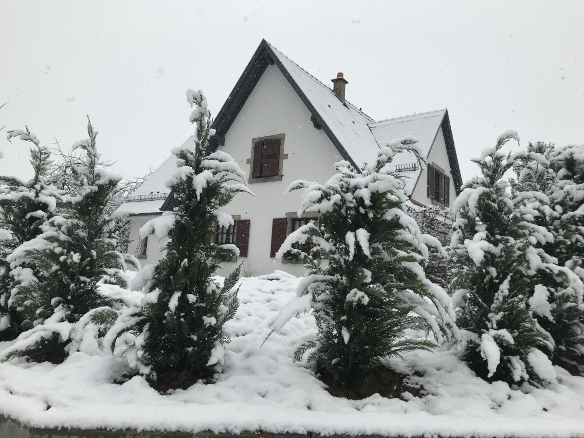 Les Chambres Chez Christine Ottrott Zewnętrze zdjęcie